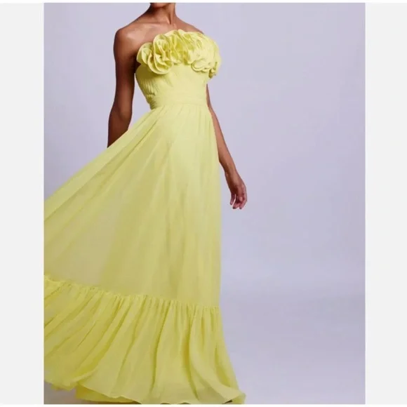 PatBo Pleated Strapless Maxi Dress - Picture 3 of 5